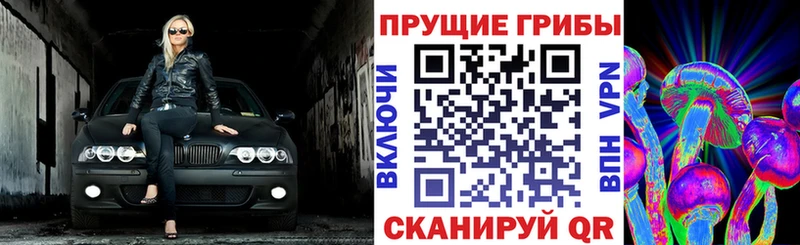 Купить закладки  Верхний Уфалей  Псилоцибиновые грибы ЛСД 